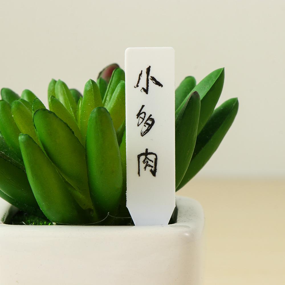 Gardening Tools Labeled - 100 Stück wiederverwendbare, wasserdichte Klassifizierungsmarkierungen für