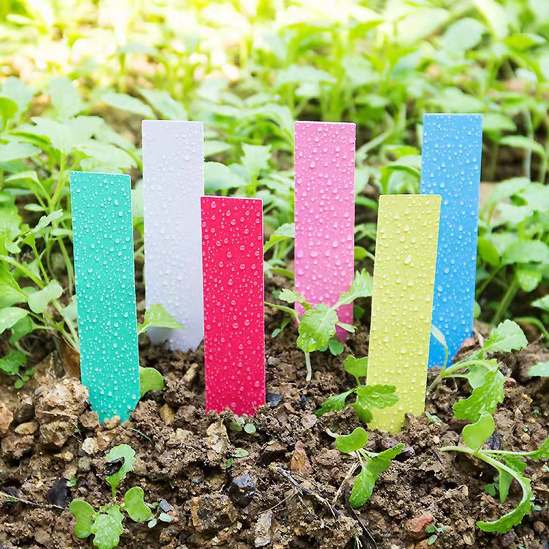 100 Stück Gartenpflanzen-Etike – Gardening Tools Labeled Bewertung und Preis