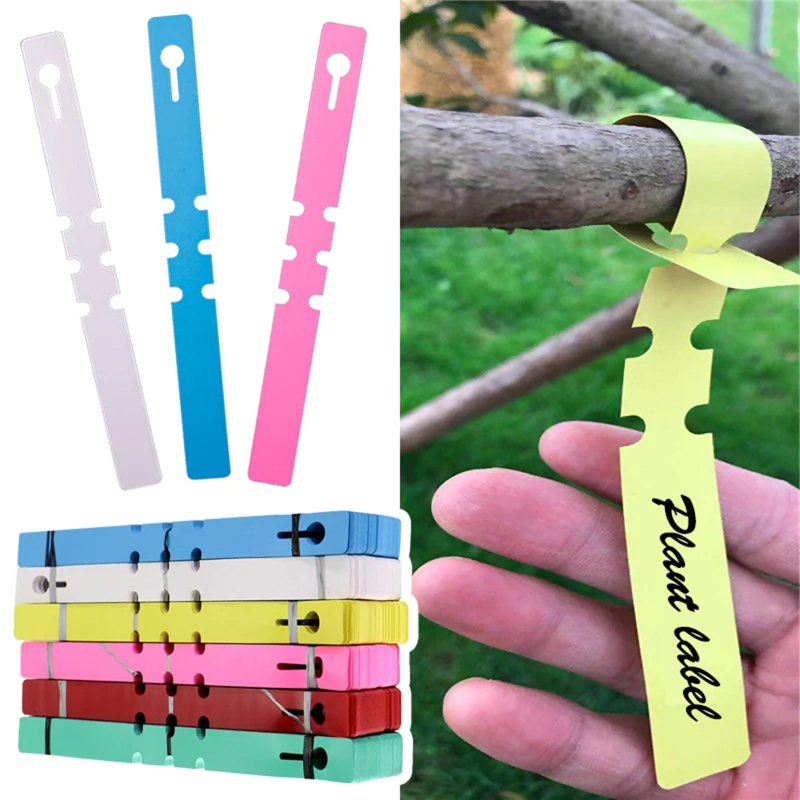 100-200 Stück Wasserdichte Pfl – Gardening Tools Labeled Bewertung und Preis
